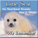 Little Seal - visit my pregnancy loss memorial quilt