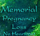 Memorial Pregnancy Loss No Heatbeat