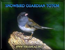 Snowbird Guardian Totem Feb 3 2002