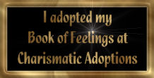 My Book of Feelings was adopted from Charistmatic Adoptions